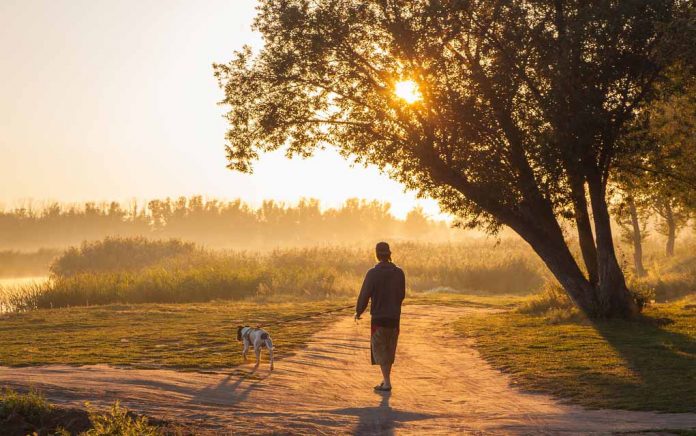 How Morning Walks Can Improve Well-Being